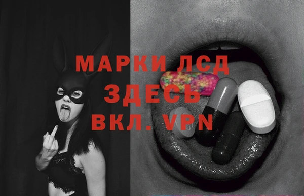 дживик Баксан